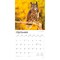 Owls | 2026 12 x 24 Inch (Hanging) Monthly Square Wall Calendar | Plastic-Free